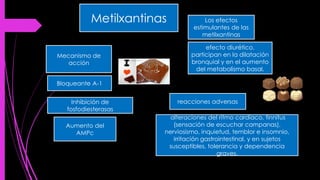 Mecanismo de
acción
Bloqueante A-1
Inhibición de
fosfodiesterasas
Los efectos
estimulantes de las
metilxantinas
efecto diurético,
participan en la dilatación
bronquial y en el aumento
del metabolismo basal.
Aumento del
AMPc
Metilxantinas
alteraciones del ritmo cardiaco, tinnitus
(sensación de escuchar campanas),
nerviosismo, inquietud, temblor e insomnio,
irritación gastrointestinal, y en sujetos
susceptibles, tolerancia y dependencia
graves.
reacciones adversas
 