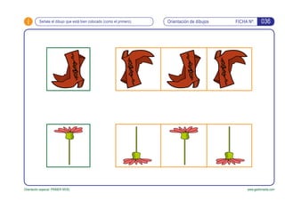 i Orientación de dibujos FICHA Nº:
Orientación espacial. PRIMER NIVEL www.gesfomedia.com
Señala el dibujo que está bien colocado (como el primero). 036
 