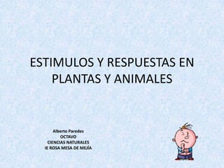 ESTIMULOS Y RESPUESTAS EN
    PLANTAS Y ANIMALES


       Alberto Paredes
          OCTAVO
    CIENCIAS NATURALES
  IE ROSA MESA DE MEJÍA
 
