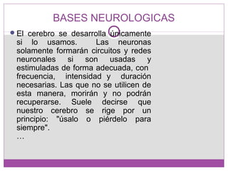 BASES NEUROLOGICAS
El cerebro se desarrolla únicamente
si lo usamos. Las neuronas
solamente formarán circuitos y redes
neuronales si son usadas y
estimuladas de forma adecuada, con
frecuencia, intensidad y duración
necesarias. Las que no se utilicen de
esta manera, morirán y no podrán
recuperarse. Suele decirse que
nuestro cerebro se rige por un
principio: "úsalo o piérdelo para
siempre".
…
 