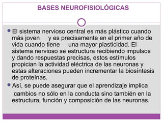 BASES NEUROFISIOLÓGICAS
El sistema nervioso central es más plástico cuando
más joven y es precisamente en el primer año de
vida cuando tiene una mayor plasticidad. El
sistema nervioso se estructura recibiendo impulsos
y dando respuestas precisas, estos estímulos
propician la actividad eléctrica de las neuronas y
estas alteraciones pueden incrementar la biosíntesis
de proteínas.
Así, se puede asegurar que el aprendizaje implica
cambios no sólo en la conducta sino también en la
estructura, función y composición de las neuronas.
 