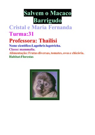 Salvem o Macaco
Barrigudo
Cristal e Maria Fernanda
Turma:31
Professora: Thailisi
Nome cientifico:Lagothrixlagotricha.
Classe:mammalia.
Alimentação:Frutas diversas, tomates, ovos e chicória.
Habitat:Florestas
 