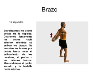 Brazo Entrelazamos los dedos detrás de la espalda. Giraremos lentamente los codos hacia adentro, mientras se estiran los brazos. Se levantan los brazos por detrás hasta notar el estiramiento de los hombros, el pecho o los mismos brazos. Mantendremos el pecho sacado y la barbilla hacia adentro. 15 segundos  