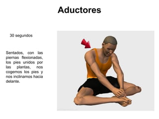 Aductores Sentados, con las piernas flexionadas, los pies unidos por las plantas, nos cogemos los pies y nos inclinamos hacia delante.  30 segundos  