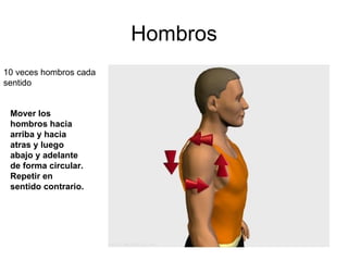 Hombros Mover los hombros hacia arriba y hacia atras y luego abajo y adelante de forma circular. Repetir en sentido contrario.  10 veces hombros cada  sentido  