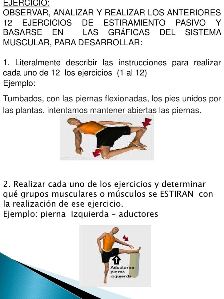 La columna vertebral la diagnosis el tratamiento
