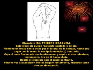 Ejercicio 24: TRÍCEPS BRAQUIAL Este ejercicio puede realizarlo sentado o de pie. Flexione un brazo hacia atrás por el lateral de la cabeza, hasta que toque con la mano la escápula omóplato) contraria. Coja el codo flexionado con la otra mano y espire el aire mientras, lentamente, tira de él hacia abajo. Repita el ejercicio con el brazo contrario. Para volver a la posición inicial, hágalo lentamente, mientras toma aire en abundancia. 