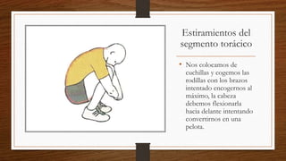 Estiramientos del
segmento torácico
• Nos colocamos de
cuchillas y cogemos las
rodillas con los brazos
intentado encogernos al
máximo, la cabeza
debemos flexionarla
hacia delante intentando
convertirnos en una
pelota.
 