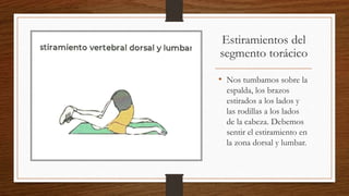 Estiramientos del
segmento torácico
• Nos tumbamos sobre la
espalda, los brazos
estirados a los lados y
las rodillas a los lados
de la cabeza. Debemos
sentir el estiramiento en
la zona dorsal y lumbar.
 