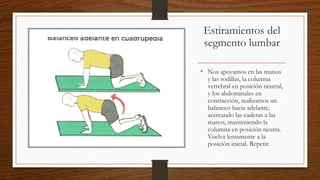 Estiramientos del
segmento lumbar
• Nos apoyamos en las manos
y las rodillas, la columna
vertebral en posición neutral,
y los abdominales en
contracción, realizamos un
balanceo hacia adelante,
acercando las caderas a las
manos, manteniendo la
columna en posición neutra.
Vuelva lentamente a la
posición inicial. Repetir.
 