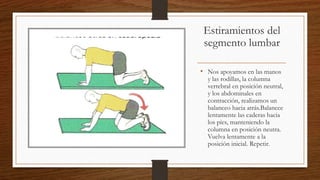 Estiramientos del
segmento lumbar
• Nos apoyamos en las manos
y las rodillas, la columna
vertebral en posición neutral,
y los abdominales en
contracción, realizamos un
balanceo hacia atrás.Balancee
lentamente las caderas hacia
los pies, manteniendo la
columna en posición neutra.
Vuelva lentamente a la
posición inicial. Repetir.
 