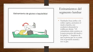 Estiramientos del
segmento lumbar
• Tumbados boca arriba o de
cubito supino, acercamos el
muslo al pecho, nos
ayudamos abrazando la
rodilla por detrás. * El
estiramiento debe sentirse en
la parte posterior del muslo y
los glúteos. * Asegúrese de
que la pierna que no se estira
esté en posición neutral y
nos se gire.
 