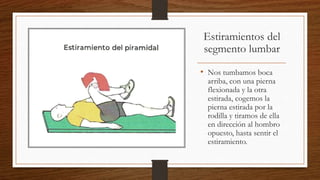 Estiramientos del
segmento lumbar
• Nos tumbamos boca
arriba, con una pierna
flexionada y la otra
estirada, cogemos la
pierna estirada por la
rodilla y tiramos de ella
en dirección al hombro
opuesto, hasta sentir el
estiramiento.
 