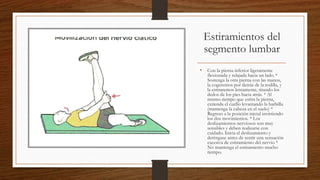 Estiramientos del
segmento lumbar
• Con la pierna inferior ligeramente
flexionada y relajada hacia un lado. *
Sostenga la otra pierna con las manos,
la cogeremos por detrás de la rodilla, y
la estiraremos lentamente, tirando los
dedos de los pies hacia atrás. * Al
mismo tiempo que estira la pierna,
extienda el cuello levantando la barbilla
(mantenga la cabeza en el suelo) *
Regreso a la posición inicial invirtiendo
los dos movimientos. * Los
deslizamientos nerviosos son muy
sensibles y deben realizarse con
cuidado. Inicia el deslizamiento y
deténgase antes de sentir una sensación
excesiva de estiramiento del nervio *
No mantenga el estiramiento mucho
tiempo.
 