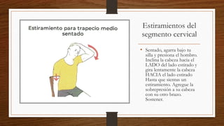 Estiramientos del
segmento cervical
• Sentado, agarra bajo tu
silla y presiona el hombro.
Inclina la cabeza hacia el
LADO del lado estirado y
gira lentamente la cabeza
HACIA el lado estirado
Hasta que sientas un
estiramiento. Agregue la
sobrepresión a su cabeza
con su otro brazo.
Sostener.
 