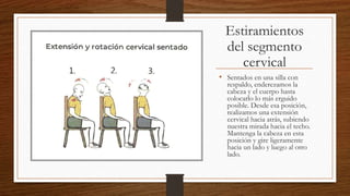 Estiramientos
del segmento
cervical
• Sentados en una silla con
respaldo, enderezamos la
cabeza y el cuerpo hasta
colocarlo lo más erguido
posible. Desde esa posición,
realizamos una extensión
cervical hacia atrás, subiendo
nuestra mirada hacia el techo.
Mantenga la cabeza en esta
posición y gire ligeramente
hacia un lado y luego al otro
lado.
 