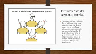 Estiramientos del
segmento cervical
• Sentado o de pie , mirando
hacia adelante , con una
postura correcta . Rodar
suavemente la cabeza
dibujando un semicírculo,
acercando la barbilla al
pecho hasta volver a la
posición inicial. Es muy
importante no echar la
cabeza hacia atrás,solo
debemos dibujar una
semicírculo.
 