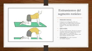 Estiramientos del
segmento torácico
• POSICIÓN INICIAL:
• Colóquese en cuadrupedia sobre una
colchoneta. Sus rodillas deben estar debajo
de las caderas y las manos debajo de los
hombros. Tu cabeza debe mirar hacia el
suelo.
• EJECUCIÓN:
• Tire de sus abdominales, flexione la columna
vertebral y deje que la cabeza baje mientras
inhala. Aguante 2-3 seg. Relaje sus
abdominales, extienda toda la espalda y mire
hacia adelante mientras exhala.
• CONSEJOS: Haz todo el ejercicio
moviéndote despacio.
 