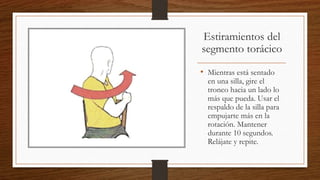 Estiramientos del
segmento torácico
• Mientras está sentado
en una silla, gire el
tronco hacia un lado lo
más que pueda. Usar el
respaldo de la silla para
empujarte más en la
rotación. Mantener
durante 10 segundos.
Relájate y repite.
 