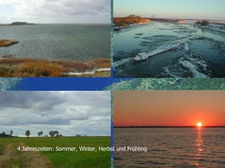 4 Jahreszeiten: Sommer, Winter, Herbst und Frühling 