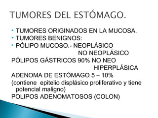  TUMORES ORIGINADOS EN LA MUCOSA.
 TUMORES BENIGNOS:
 PÓLIPO MUCOSO.- NEOPLÁSICO
NO NEOPLÁSICO
PÓLIPOS GÁSTRICOS 90% NO NEO
HIPERPLÁSICA
ADENOMA DE ESTÓMAGO 5 – 10%
(contiene epitelio displásico proliferativo y tiene
potencial maligno)
POLIPOS ADENOMATOSOS (COLON)
 