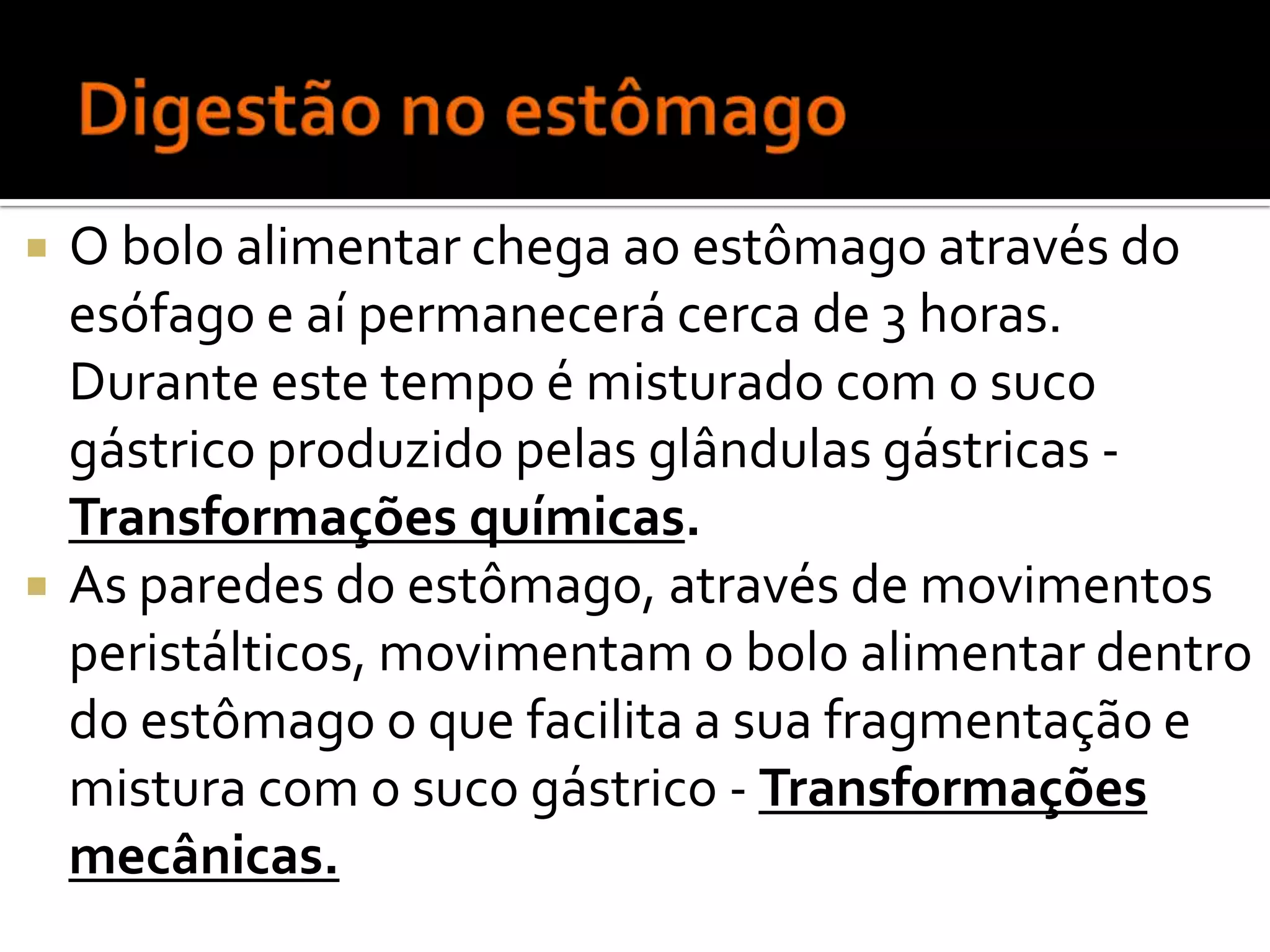  O bolo alimentar chega ao estômago através do
esófago e aí permanecerá cerca de 3 horas.
Durante este tempo é misturado com o suco
gástrico produzido pelas glândulas gástricas -
Transformações químicas.
As paredes do estômago, através de movimentos
peristálticos, movimentam o bolo alimentar dentro
do estômago o que facilita a sua fragmentação e
mistura com o suco gástrico - Transformações
mecânicas.