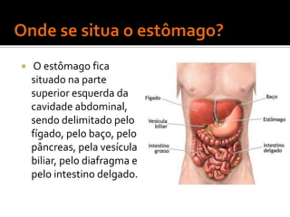    O estômago fica
    situado na parte
    superior esquerda da
    cavidade abdominal,
    sendo delimitado pelo
    fígado, pelo baço, pelo
    pâncreas, pela vesícula
    biliar, pelo diafragma e
    pelo intestino delgado.
 