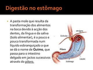    A pasta mole que resulta da
    transformação dos alimentos
    na boca devido à acção dos
    dentes, da língua e da saliva
    (bolo alimentar), é a pouco e
    pouco transformada num
    líquido esbranquiçado a que
    se dá o nome de Quimo, que      Piloro
    passa para o intestino
    delgado em jactos sucessivos
    através do piloro.
 