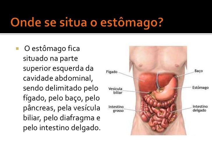 A digestão no estômago