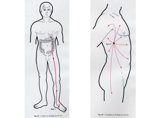 MERIDIANOS ESTOMAGO-BAÇO PANCREAS MTC.PPT