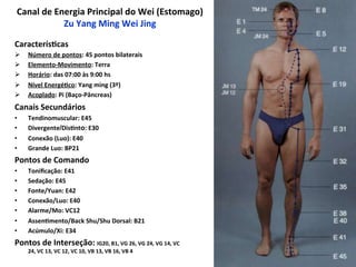 Canal	
  de	
  Energia	
  Principal	
  do	
  Wei	
  (Estomago)	
  
Zu	
  Yang	
  Ming	
  Wei	
  Jing	
  
Caracterís`cas	
  
Ø  Número	
  de	
  pontos:	
  45	
  pontos	
  bilaterais	
  
Ø  Elemento-­‐Movimento:	
  Terra	
  
Ø  Horário:	
  das	
  07:00	
  às	
  9:00	
  hs	
  
Ø  Nível	
  Energé`co:	
  Yang	
  ming	
  (3º)	
  
Ø  Acoplado:	
  Pi	
  (Baço-­‐Pâncreas)	
  	
  
Canais	
  Secundários	
  	
  
•  Tendinomuscular:	
  E45	
  
•  Divergente/Dis`nto:	
  E30	
  
•  Conexão	
  (Luo):	
  E40	
  
•  Grande	
  Luo:	
  BP21	
  	
  
Pontos	
  de	
  Comando	
  
•  Toniﬁcação:	
  E41	
  
•  Sedação:	
  E45	
  
•  Fonte/Yuan:	
  E42	
  	
  
•  Conexão/Luo:	
  E40	
  
•  Alarme/Mo:	
  VC12	
  
•  Assen`mento/Back	
  Shu/Shu	
  Dorsal:	
  B21	
  
•  Acúmulo/Xi:	
  E34	
  
Pontos	
  de	
  Interseção:	
  IG20,	
  B1,	
  VG	
  26,	
  VG	
  24,	
  VG	
  14,	
  VC	
  
24,	
  VC	
  13,	
  VC	
  12,	
  VC	
  10,	
  VB	
  13,	
  VB	
  16,	
  VB	
  4	
  
 