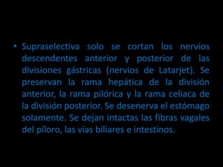 • Supraselectiva solo se cortan los nervios
descendentes anterior y posterior de las
divisiones gástricas (nervios de Latarjet). Se
preservan la rama hepática de la división
anterior, la rama pilórica y la rama celiaca de
la división posterior. Se desenerva el estómago
solamente. Se dejan intactas las fibras vagales
del píloro, las vías biliares e intestinos.
 
