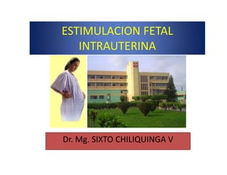ESTIMULACION FETAL 
ESTIMULACION FETAL
   INTRAUTERINA




Dr. Mg. SIXTO CHILIQUINGA V
     g             Q
 