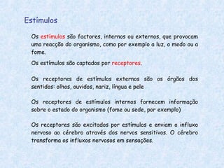 Estímulos Os  estímulos  são factores, internos ou externos, que provocam uma reacção do organismo, como por exemplo a luz, o medo ou a fome. Os estímulos são captados por  receptores . Os receptores de estímulos externos são os órgãos dos sentidos: olhos, ouvidos, nariz, língua e pele Os receptores de estímulos internos fornecem informação sobre o estado do organismo (fome ou sede, por exemplo) Os receptores são excitados por estímulos e enviam o influxo nervoso ao cérebro através dos nervos sensitivos. O cérebro transforma os influxos nervosos em sensações. 