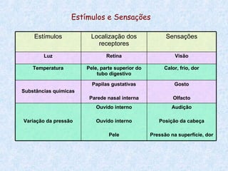 Estímulos e Sensações Audição Posição da cabeça Pressão na superfície, dor Ouvido interno Ouvido interno Pele Variação da pressão Gosto Olfacto Papilas gustativas Parede nasal interna Substâncias químicas Calor, frio, dor Pele, parte superior do tubo digestivo Temperatura Visão Retina Luz Sensações Localização dos receptores Estímulos 