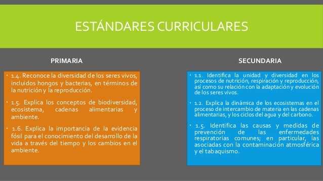 Estándares curriculares