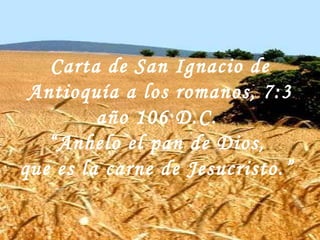 Carta de San Ignacio de Antioquía a los romanos, 7:3 año 106 D.C.  “ Anhelo el pan de Dios,  que es la carne de Jesucristo.”  