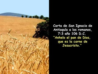 Carta de San Ignacio de Antioquía a los romanos, 7:3 año 106 D.C.  “ Anhelo el pan de Dios,  que es la carne de Jesucristo.”  