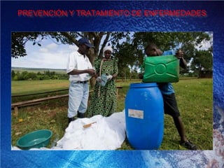 PREVENCIÓN Y TRATAMIENTO DE ENFERMEDADES
 