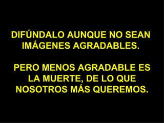 DIFÚNDALO AUNQUE NO SEAN  IMÁGENES AGRADABLES.  PERO MENOS AGRADABLE ES LA MUERTE, DE LO QUE NOSOTROS MÁS QUEREMOS. 