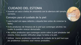 CUIDADO DEL ESTOMA
• Usando un saco o bolsa de urostomía con la abertura del tamaño
correcto.
Consejos para el cuidado de la piel:
• Lave la piel con agua caliente y séquela bien antes de conectar la
bolsa.
• Evite productos de limpieza de la piel que contengan alcohol, los
cuales la pueden resecar demasiado.
• No utilice productos que contengan aceite sobre la piel alrededor del
estoma. Estos pueden dificultar pegar la bolsa a la piel.
• Utilizar menos productos especiales de cuidado de la piel hará que
los problemas cutáneos sean menos probables.
 
