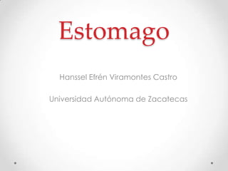 Estomago Hanssel Efrén Viramontes Castro Universidad Autónoma de Zacatecas 