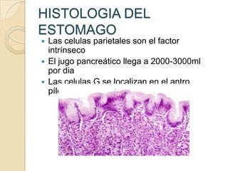 HISTOLOGIA DEL
ESTOMAGO
 Las celulas parietales son el factor
  intrínseco
 El jugo pancreático llega a 2000-3000ml
  por dia
 Las celulas G se localizan en el antro
  píloro
 