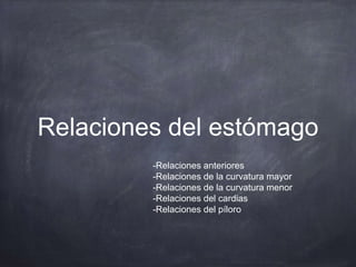Relaciones del estómago
-Relaciones anteriores
-Relaciones de la curvatura mayor
-Relaciones de la curvatura menor
-Relaciones del cardias
-Relaciones del píloro
 