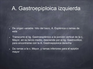 A. Gastroepiploica izquierda
De origen variable: hilio del bazo, A. Esplénica o ramas de
esta
Transcurre el lig. Gastroesplénico a la porción vertical de la c.
Mayor, en su tercio medio, desciende por el lig. Gastrocólico,
para encontrarse con la A. Gastroepiploica derecha
Da ramas a la c. Mayor, y ramas inferiores para el epiplón
mayor
 