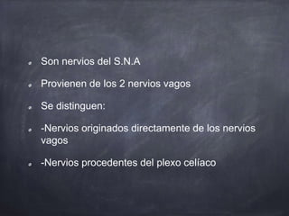 Son nervios del S.N.A
Provienen de los 2 nervios vagos
Se distinguen:
-Nervios originados directamente de los nervios
vagos
-Nervios procedentes del plexo celíaco
 