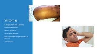 Síntomas
El vientre puede lucir o sentirse
distendido, lo cual se denomina
distensión abdominal.
Fiebre y escalofríos
Líquido en el abdomen
Evacuar pocas heces o gases o nada en
absoluto
Fatiga excesiva
 