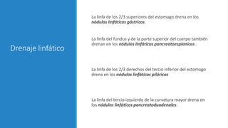 Drenaje linfático
La linfa de los 2/3 superiores del estomago drena en los
nódulos linfáticos gástricos.
La linfa del fundus y de la parte superior del cuerpo también
drenan en los nódulos linfáticos pancreatoesplanicos .
La linfa de los 2/3 derechos del tercio inferior del estomago
drena en los nódulos linfáticos pilóricos
La linfa del tercio izquierdo de la curvatura mayor drena en
los nódulos linfáticos pancreatoduodenales.
 