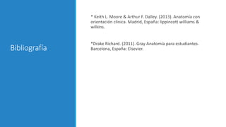 Bibliografía
* Keith L. Moore & Arthur F. Dalley. (2013). Anatomía con
orientación clinica. Madrid, España: lippincott williams &
wilkins.
*Drake Richard. (2011). Gray Anatomía para estudiantes.
Barcelona, España: Elsevier.
 