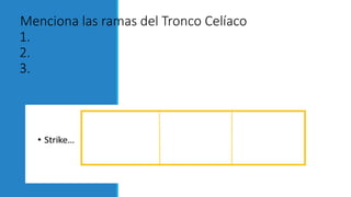 Menciona las ramas del Tronco Celíaco
1.
2.
3.
 